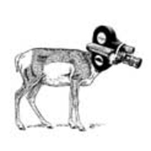 Profile picture for Cinebeasts