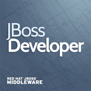 Profile picture for JBoss Developer