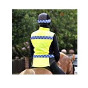 Profile picture for Horse Boots