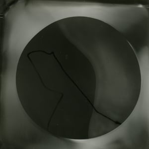 Profile picture for Neely Goniodsky