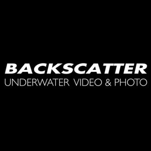 Profile picture for Backscatter