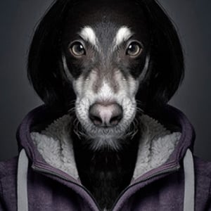 Profile picture for alexis liddell