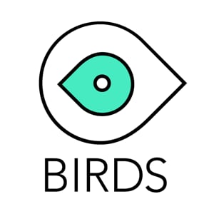 Profile picture for birds