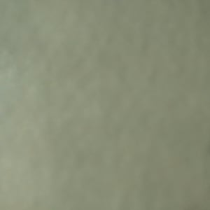 Profile picture for Hernan Capdevila