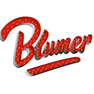 Profile picture for Blumer CPAs