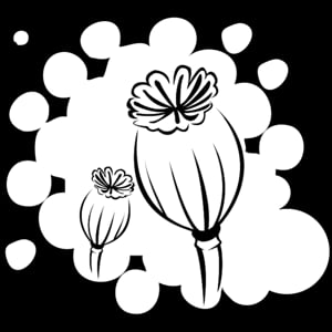 Profile picture for Martin Gunchev