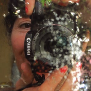 Profile picture for carmela