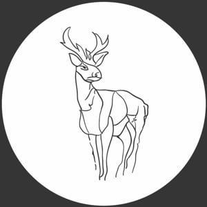 Profile picture for cesuralab