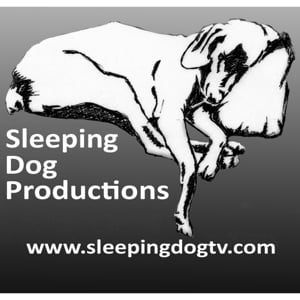 Profile picture for SleepingDogTV