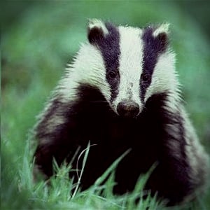 Profile picture for Sam