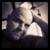 Andy Barwick