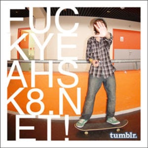 Profile picture for sk8net