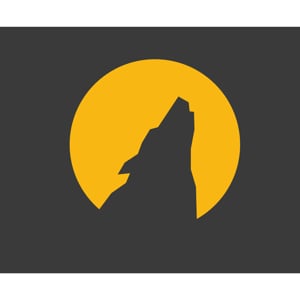 Profile picture for The Sound Works