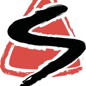 Profile picture for SIA Austria