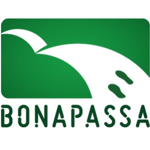 Profile picture for Bonapassa