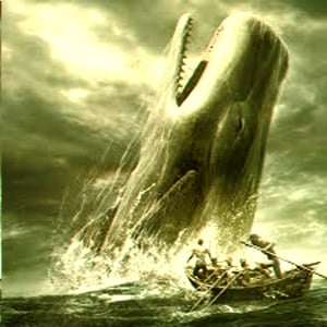 Profile picture for safakoç