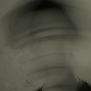 Profile picture for Andy Chiu