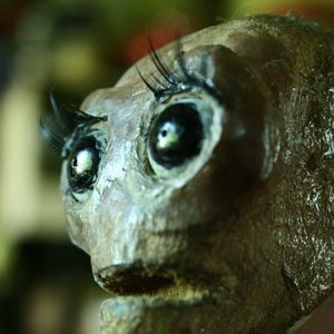 Profile picture for Julie Garrod