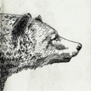 Profile picture for Daniel Harkness