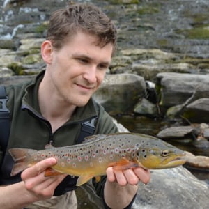 Profile picture for Stefan Kaltschik