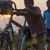 BTWIN TV