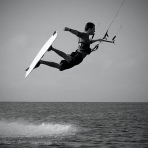 Profile picture for William Gross
