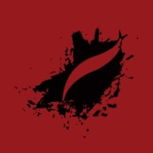 Profile picture for The Feather Online