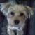 FBCJax Watchdog