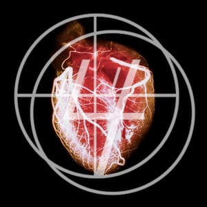 Profile picture for Four Chambers