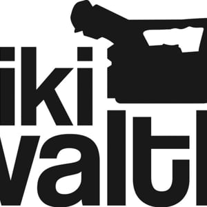 Profile picture for Niki Waltl