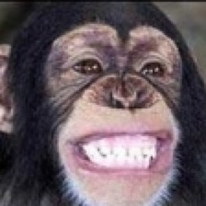 Profile picture for Daniel Johnson