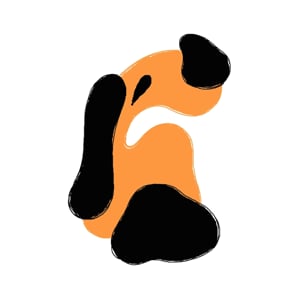 Profile picture for Fabio Tonetto