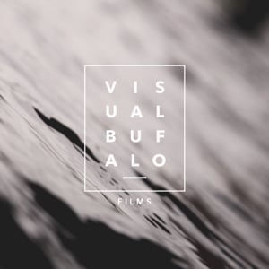 Profile picture for V I S U A L · B U F A L O