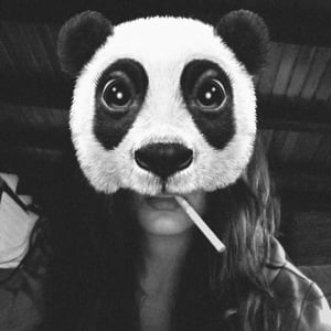 Profile picture for cyanoptila