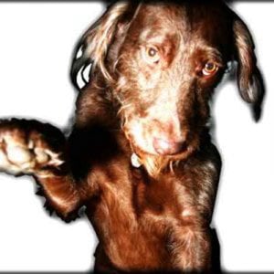 Profile picture for Mike Endacott