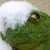 Froggy