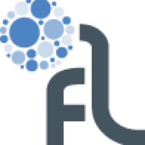 Profile picture for Flink Labs