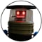 Portrait image for hitchBOT