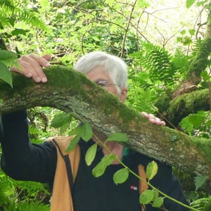 Profile picture for Wilda WahnWitz