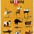 Giffoni Film Festival
