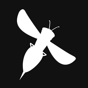 Profile picture for Ruby Hornet