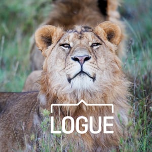 Profile picture for Logue