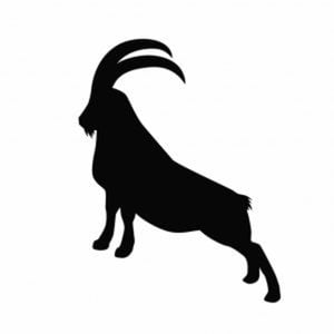 Profile picture for Big Mountain Adventures