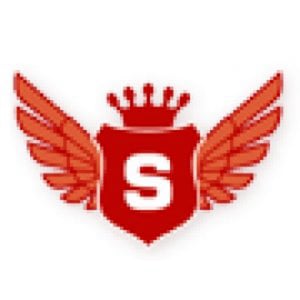 Profile picture for SalesKing
