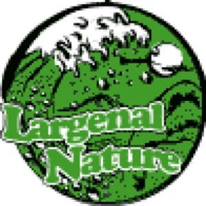 Profile picture for largenalnature