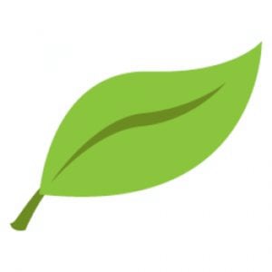 Profile picture for FreshBooks