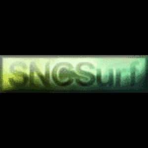 Profile picture for SNCSurf