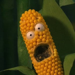 Profile picture for citoplasmas