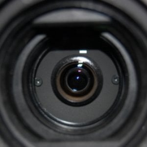 Profile picture for wannseeFORUM