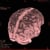 2brains